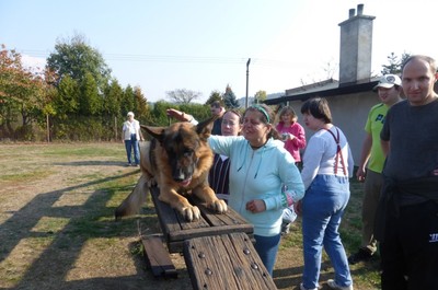 Návštěva kynologického cvičení