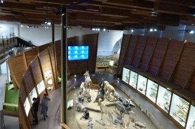 Návštěva Národního muzea