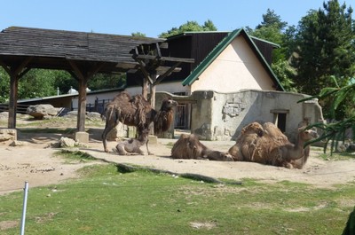 ZOO Liberec