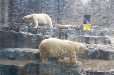 ZOO Praha