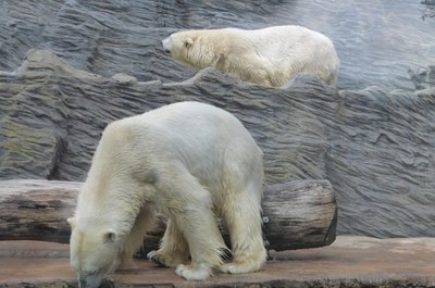 ZOO Praha