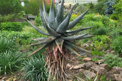 Na naší dovolené jsme navštívili Botanickou zahradu v Teplicích