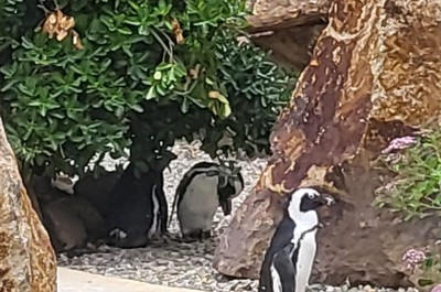 Na naší dovolené jsme navštívili ZOO v Ústí nad Labem