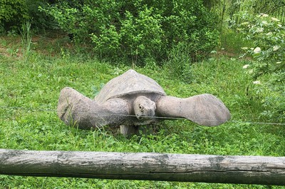 Na naší dovolené jsme navštívili ZOO v Ústí nad Labem