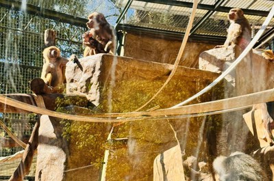 Výlet do ZOO v Liberci