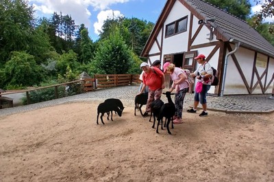 Ústecká ZOO a lanovkou na Větruši