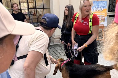 Velká cena Městské policie Liberec