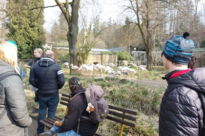 Výlet do liberecké ZOO