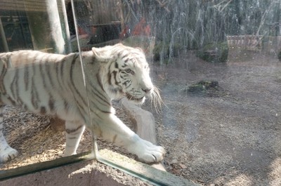 Výlet do liberecké ZOO