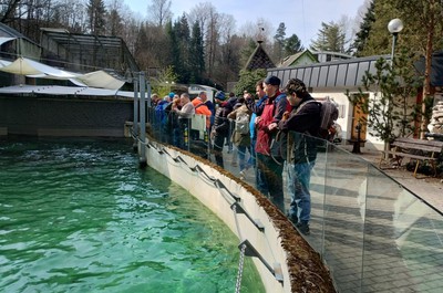 Výlet do liberecké ZOO